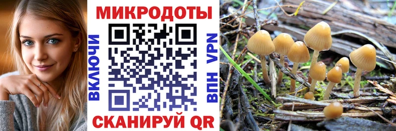 Галлюциногенные грибы MAGIC MUSHROOMS  даркнет сайт  Борисоглебск 